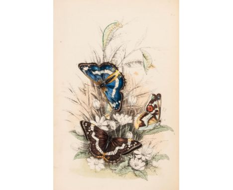 Humphreys (Henry Noel) - The Genera and Species of British Butterflies,  lithographed pictorial title-page and 32 plates, the