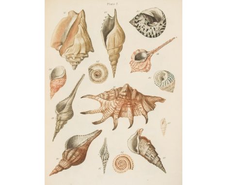 Brookes (Samuel) - An Introduction to the Study of Conchology,  11 lithographed plates, of which 9 are hand-coloured, occasio