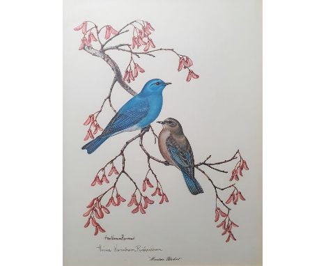 After Anne Worsham Richardson
Colour print
"Mountain bluebird", signed lower left together with assorted prints and frames&nb