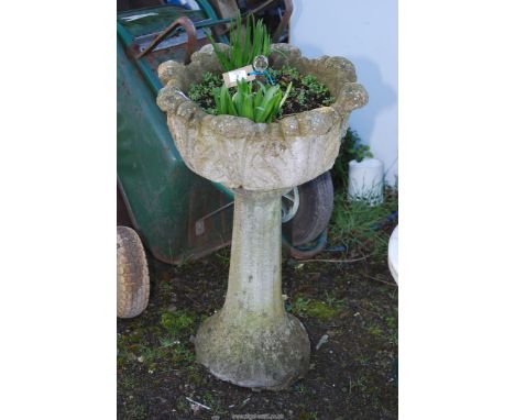 A concrete pedestal planter with plants, 31" x 17" diameter.