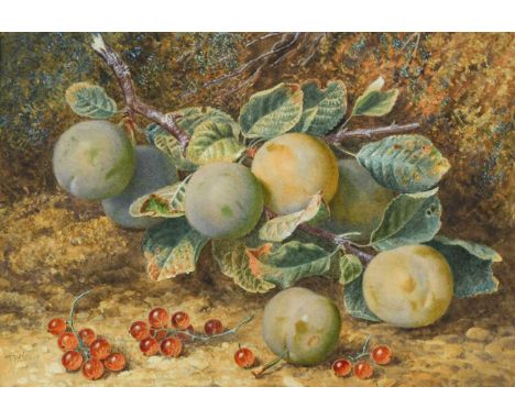 Thomas Frederick Collier (Irish, 1823-1885) Still life of greengages and redcurrantssigned 'T.F.Collier' and dated 1878 lower