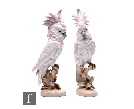 Two Royal Dux parakeets, modelled perched with raised comb and pink heightened feathers, on naturalistic base, printed and re