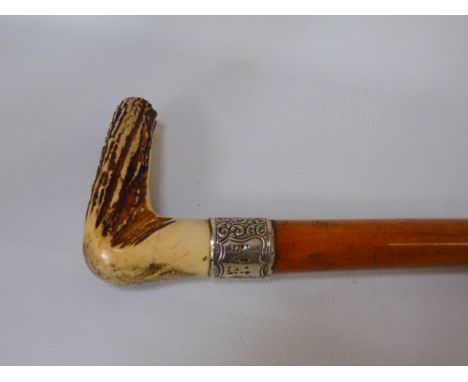 A Horn handled walking stick with silver collar, assay indistinct