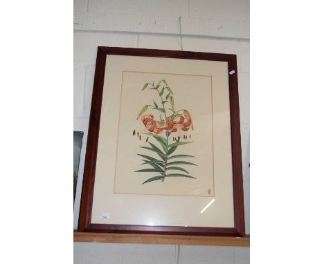 Large botanical print, Tiger Lilies, framed and glazed