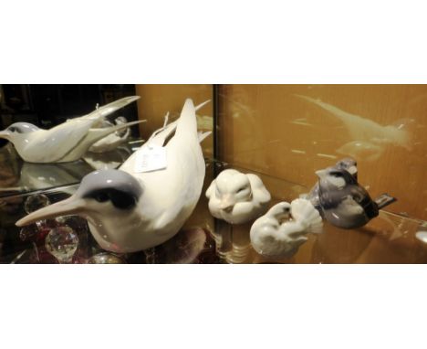 Four Royal Copenhagen birds, Artic Tern (827); Pair of Sparrows (1309); Dove (4787); Ducks (516).