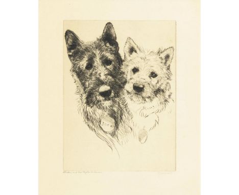                     STEWART,             J    "Aberdeen and West Highland Terriers"Radierung. Bleistiftsignatur. Druckplatte: