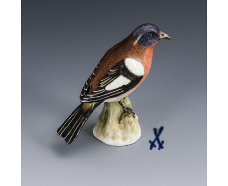 Buchfink. Meissen. Schwertermarke, 1934-1945, 1. Wahl. Modell-Nr.: 112x. Entwurf:1735/40.                     KAENDLER,      
