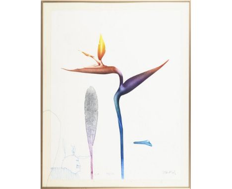                     WUNDERLICH,             Paul(1927 Eberswalde - 2010 Saint-Pierre-de-Vassols)    "Im Schatten deiner Flüge