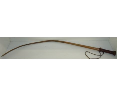 Late 19th C bulls pizzle whip with braided leather grip