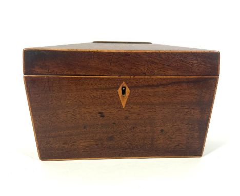 A George IV mahogany sarcophagus tea caddy; together with a large ceramic tureen and cover, two lamps and a small group of bl