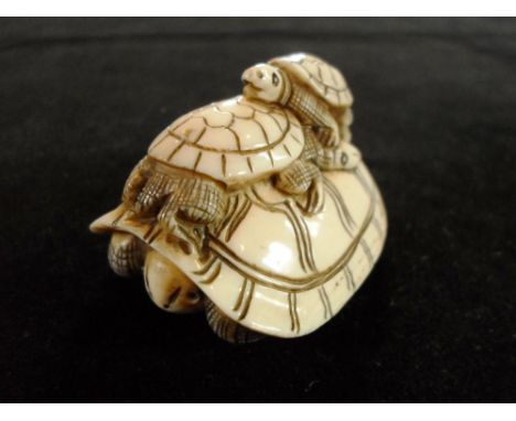 A carved Japanese ivory netsuke formed as a large tortoise, with two smaller on his back, facing in opposite directions, 4.2c