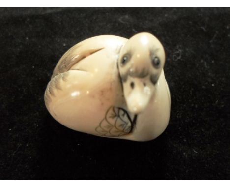 A late 19th century Japanese carved ivory netsuke of a nesting duck, head facing right, 3.6cm long, signed