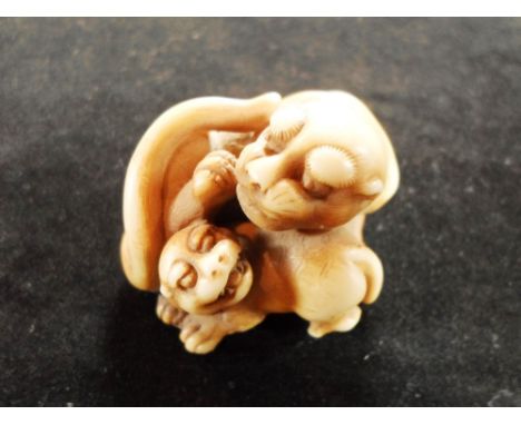 A Meiji period ivory carved netsuke of an adult lion with cub, 4.4cm wide, signed Condition Report: There have been various v