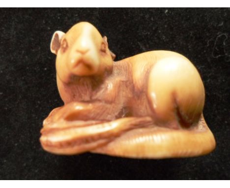 A 19th century carved ivory netsuke of a seated large rat / rodent, his tail curled beneath him, 2.7cm tall, unsigned