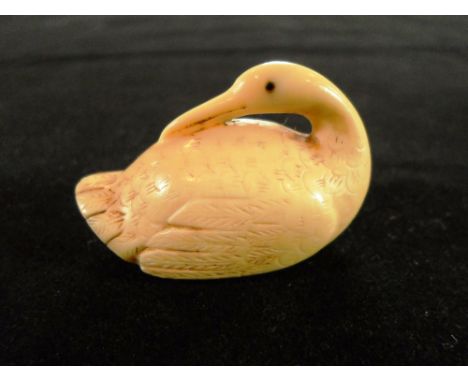 A Japanese ivory netsuke of a seated stork-like bird, Meiji period, its head turned and beak resting on its back, 4cm, unsign