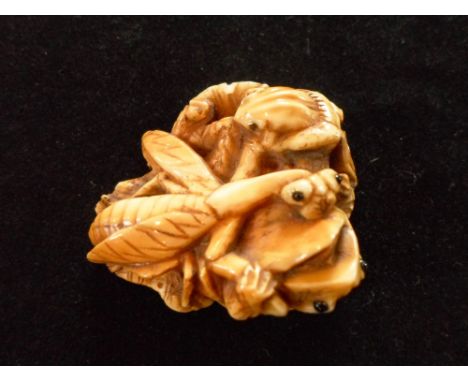 A Meiji period ivory carved netsuke formed as a large winged insect in battle with two frogs, 4.1cm x 3.3cm, signed Condition