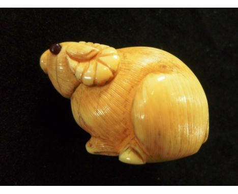 A Meiji period ivory carved netsuke of a crouching mountain goat, set with ruby-coloured eyes, 3cm tall, unsigned