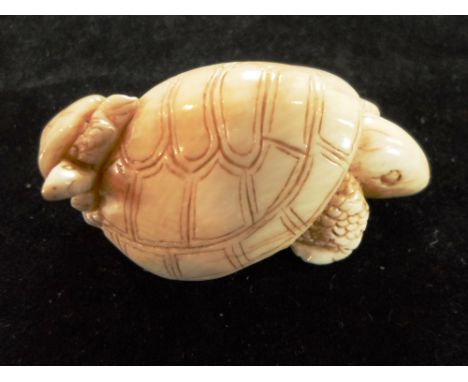 A Meiji period ivory netsuke of a tortoise, with another smaller perched on his back, 5cm long, signed