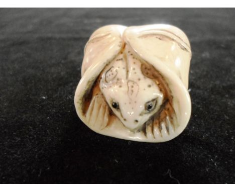 A 19th century Japanese ivory carved netsuke of a frog hiding within a folded up leaf, 4cm, signed