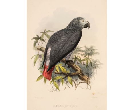 Keulemans (John Gerrard). A Natural History of Cage Birds, Parts 1-3 (of 4) only, 1st edition, London: John Van Voorst, [1871