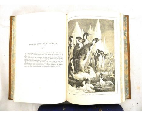 HARTWIG DOCTOR G.&nbsp;&nbsp;The Sea &amp; Its Living Wonders. Fldg. map (tear noted). Litho frontis &amp; plates. Eng. text 