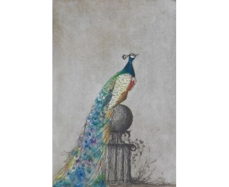 Christine Sprieter, 'Paul's Peacock' a coloured etching, signed and numbered 5/40, framed under glass with an Edinburgh Print