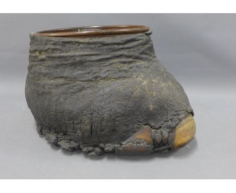 Taxidermy elephant foot planter, with a copper liner, 50 x 27cm 