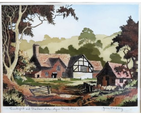 James Priddey - Framed &amp; glazed pencil signed aquatinted colour etching with Warwick Galleries Artist Proof blindstamp, T