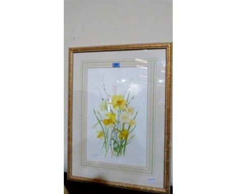 ALICE HUTTON: Study of daffodils. Signed. Watercolour 20'' x 12½''