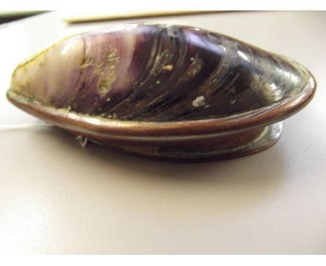 Copper and shell snuff box 