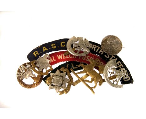 An assortment of Army metal and cloth badges, comprising many regiments, including Royal Welch Fusiliers, East Surrey, Egypt 