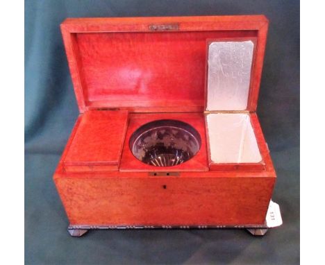 A 19th century burr maple and ebonised tea caddy of substantial proportions, the hinged lid opening to reveal associated mixi