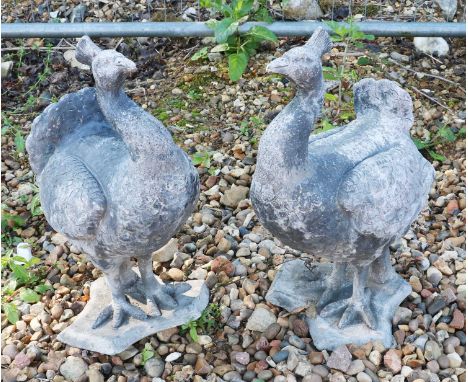 A pair of lead garden figures,modelled as a Peacock and a Pea-hen, the former being complete with a separate tail feather att