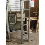 Large extension ladder