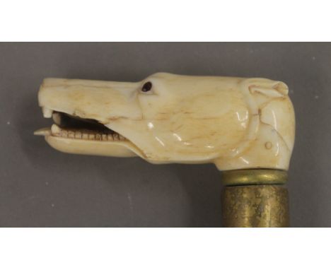 A walking stick with carved bone dog's head handle 