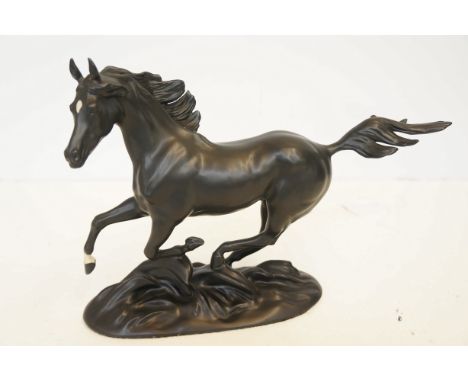 Ceramic black beauty 