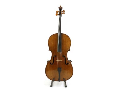 A cello,probably French, early 20th Century, of caramel colour, the two piece back of medium curl measuring approximately 760