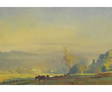 ▴ Trevor Chamberlain ROI RSMA (b.1933)'First light, September, Waterford Marsh'signed and dated 'T. Chamberlain '80' l.r., fu