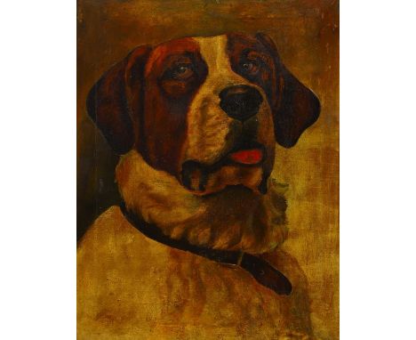 English School, 19th/20th centuryStudy of a St Bernardoil on canvas53 x 41cm, unframedCondition ReportThe canvas is unlined. 