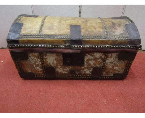 A Georgian pony skin travelling trunk with domed lid, steel banded and brass stud detail, and paper lined interior