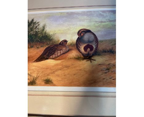 Large print by T. Hutchinson 2003, pair of English Partridge on Heath 3/50 signed by artist 71cm x 55cm 