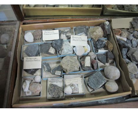 TWO BOXES OF FOSSIL STONES