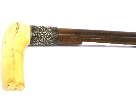 Georgian ivory handled mahogany walking stick with hallmarked silver collar. P&amp;P Group 3 (£25+VAT for the first lot and £