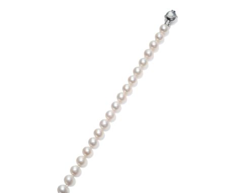 A Cultured Pearl Necklace with Diamond Set Snap, the large cultured pearls knotted to a round catch, set with diamonds in a d