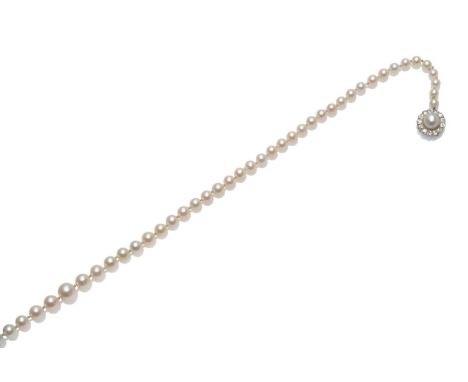 A Cultured Pearl Necklace, seventy-three graduated cultured pearls knotted to a cultured pearl and diamond cluster clasp, len