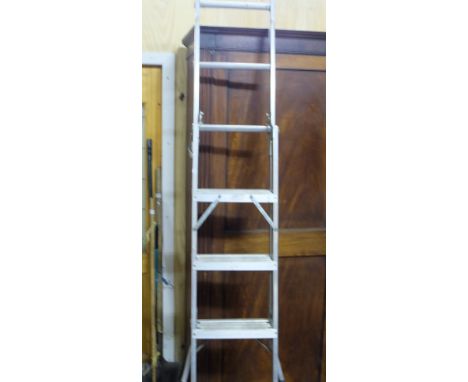 Aluminium Extending Ladder (extends to 10ft)