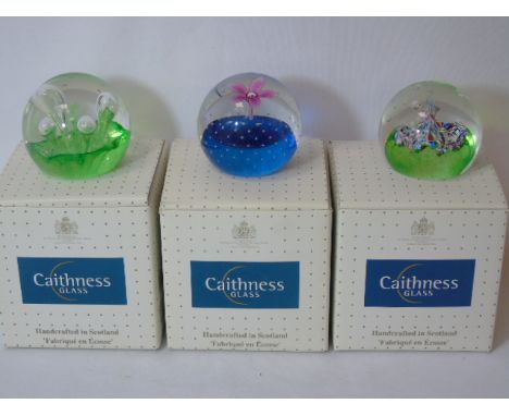 3 Ltd Edition Caithness paperweights - Flower in the Rain - Moon Flower - Myriad