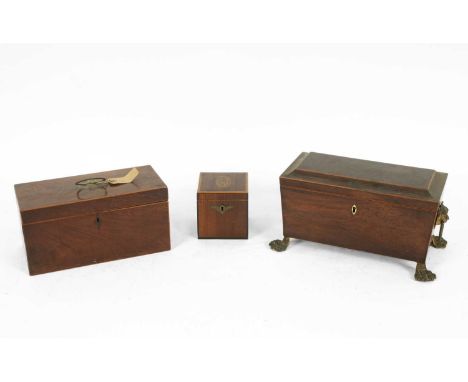 A Regency rosewood tea caddy, of sarcophagus shape with lion mask ring handles to the sides and on paw feet, 35.5cm wide, a m