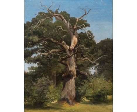 VERHAS,THEODOR, 1811-1872, (ZUGESCHRIEBEN) "Eiche bei Eberring" Öl auf Platte, unsig., verso bez. "Bestätigung: Der Unterzeic