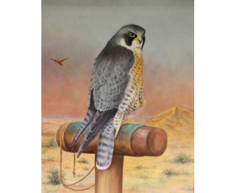 F CLARK "Peregrine falcon on a perch", enamels on porcelain, rectangular porcelain plaque depicting falcon on a perch within 
